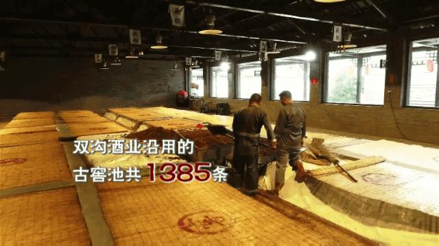 双沟与洋河的区别,双沟和洋河是什么关系