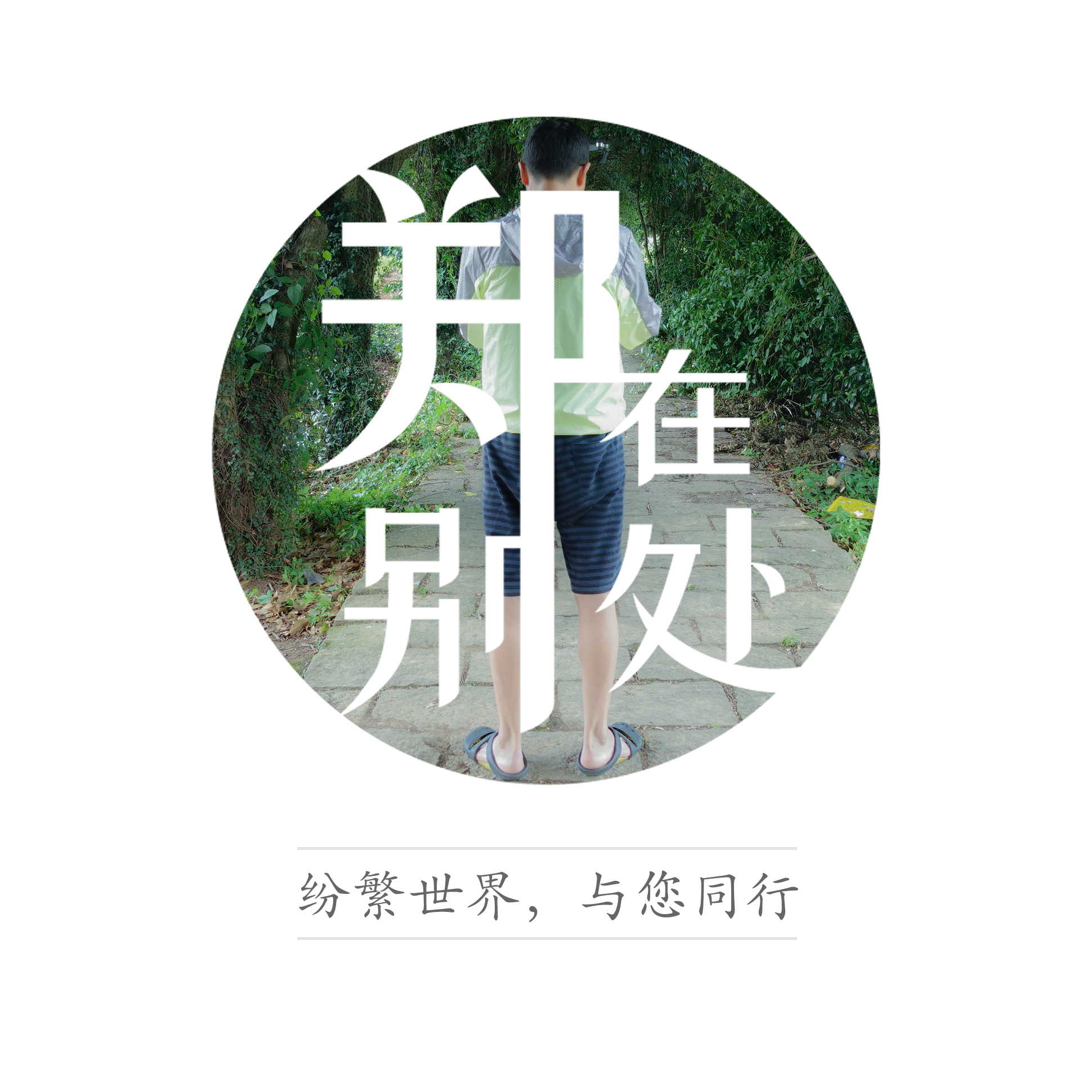 坐公交游杭州几路最好,杭州87路公交沿路风景