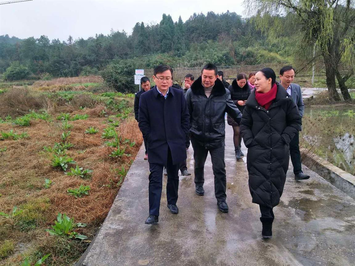 永州提升脱贫质量,江华精准扶贫