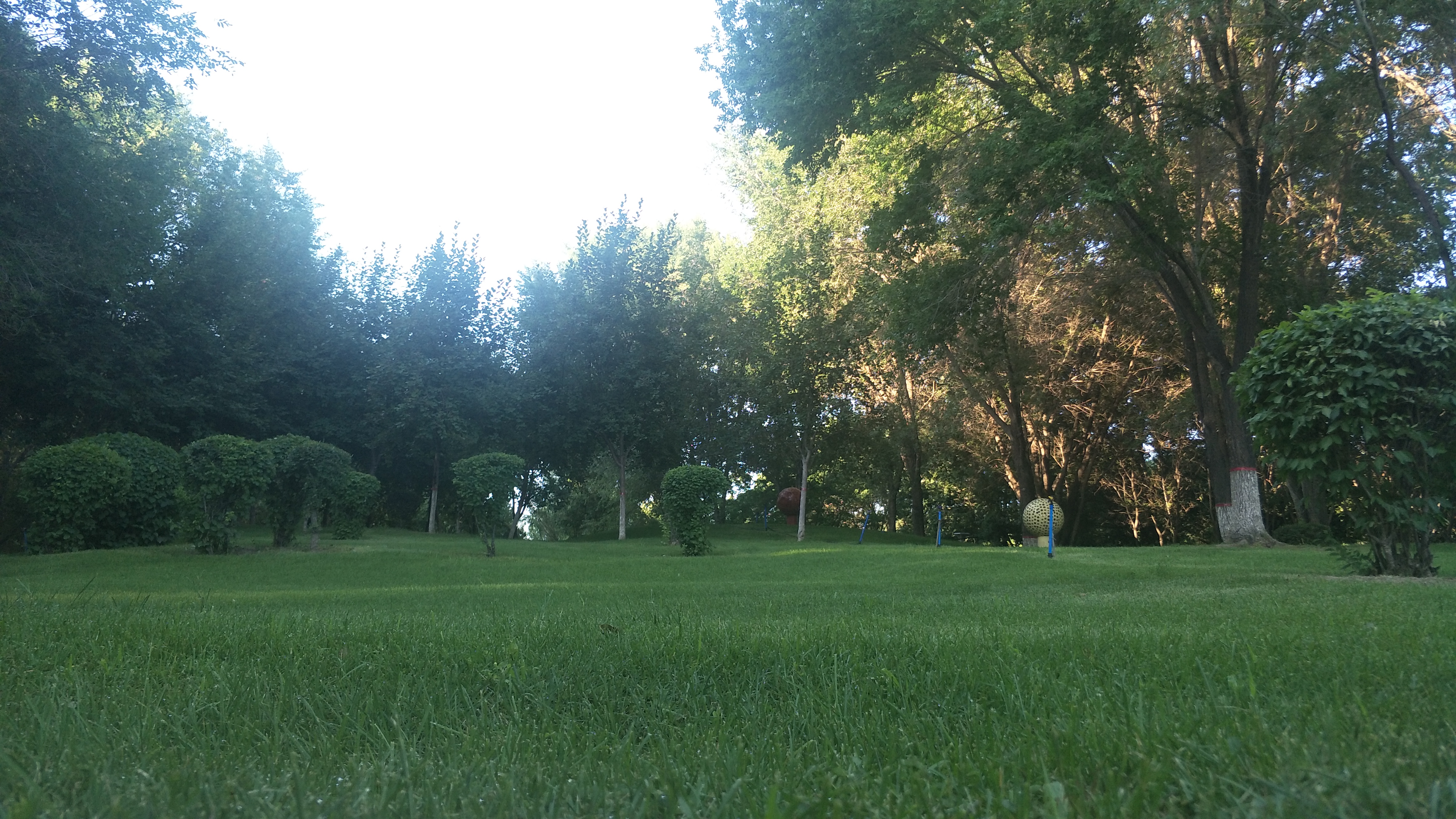 「石河子大学」并不遥远