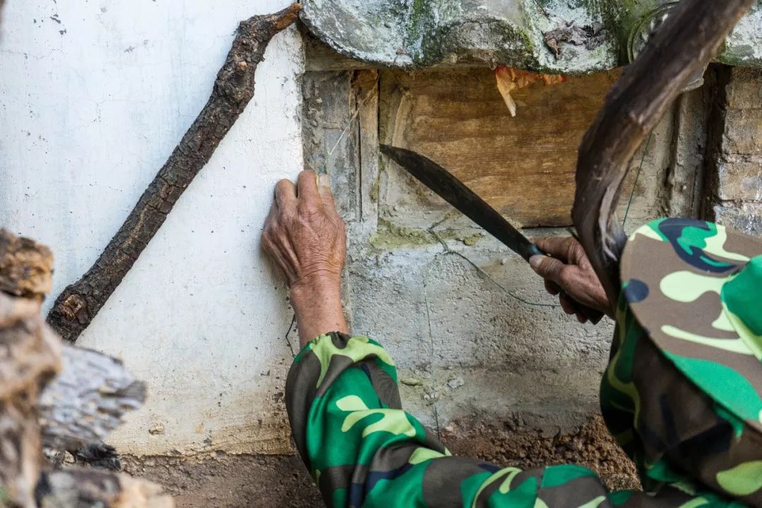 土蜂蜜取蜜全过程,土蜂蜜正确取蜜方法
