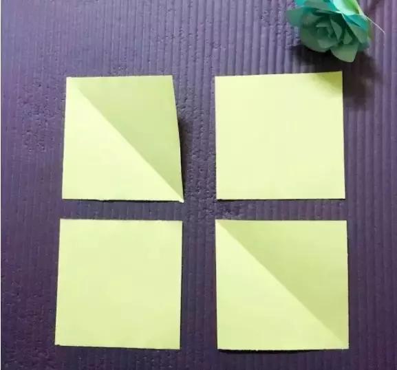 有颜色的玫瑰是怎么做出来的,白玫瑰怎么做七彩玫瑰