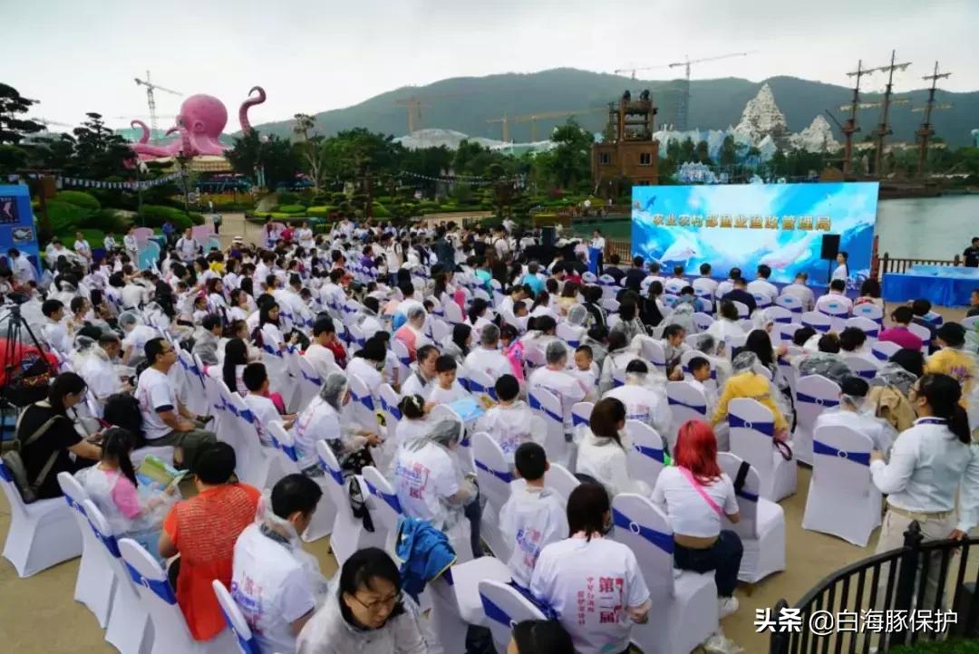 上海中华白海豚保护宣传日,中华白海豚宣传日