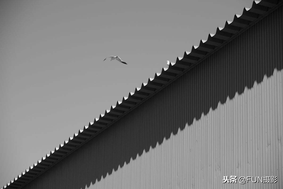 摄影技巧入门第十六课,摄影构图基础知识入门教程视频