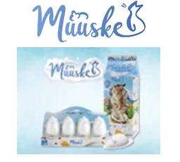 淘好货进阶手册,淘货攻略大全最新