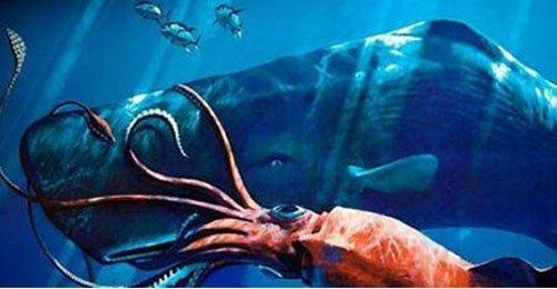 大海蛇历史真实事件,巨型海蛇传说