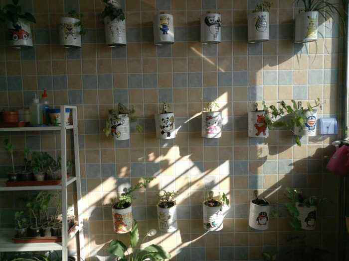 空奶粉罐种花方法,奶粉罐养花效果好吗