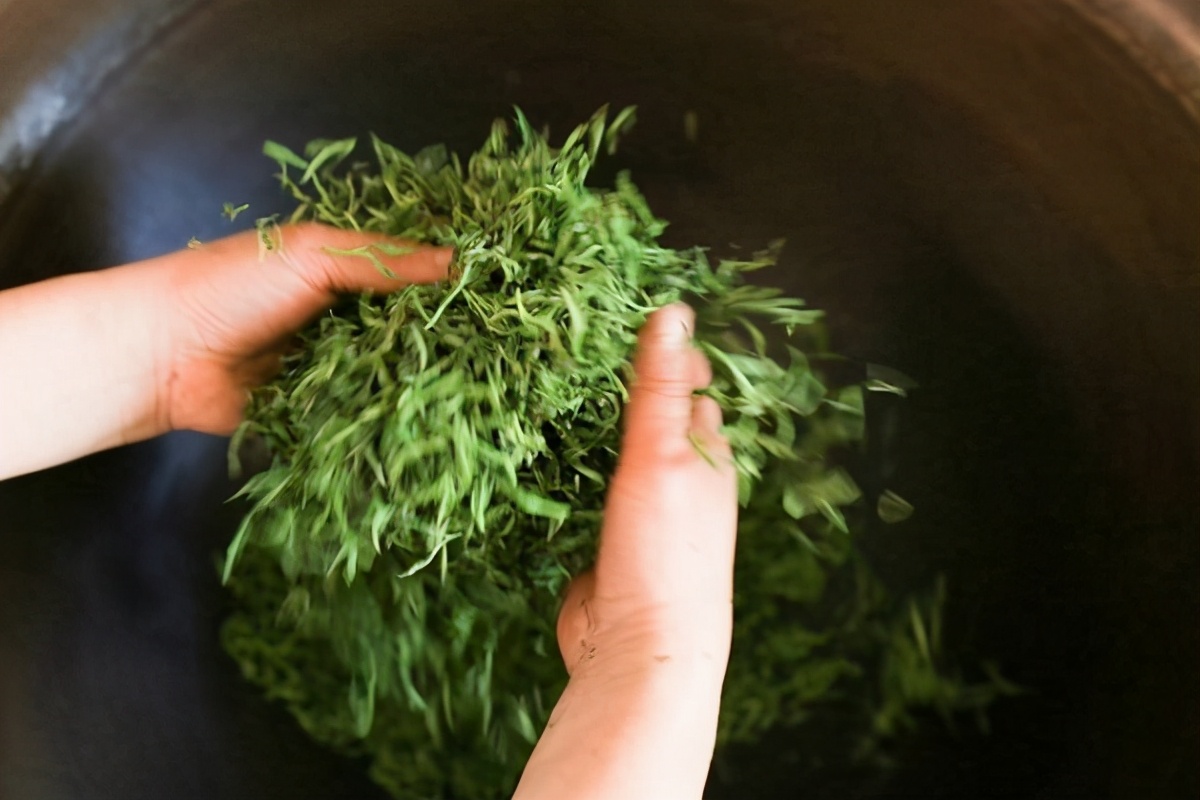 蒸青与炒青有什么区别,制茶工序中蒸青和炒青有什么区别