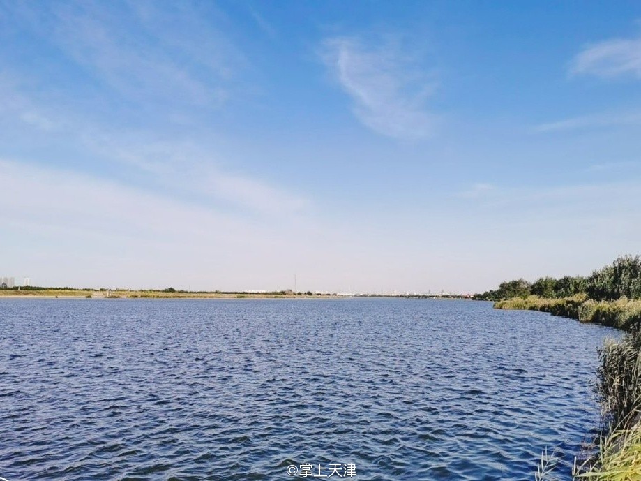 低调的王者完整版,低调的王者奥迪