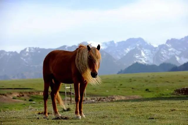 塔城最好旅游季节,塔城好去处