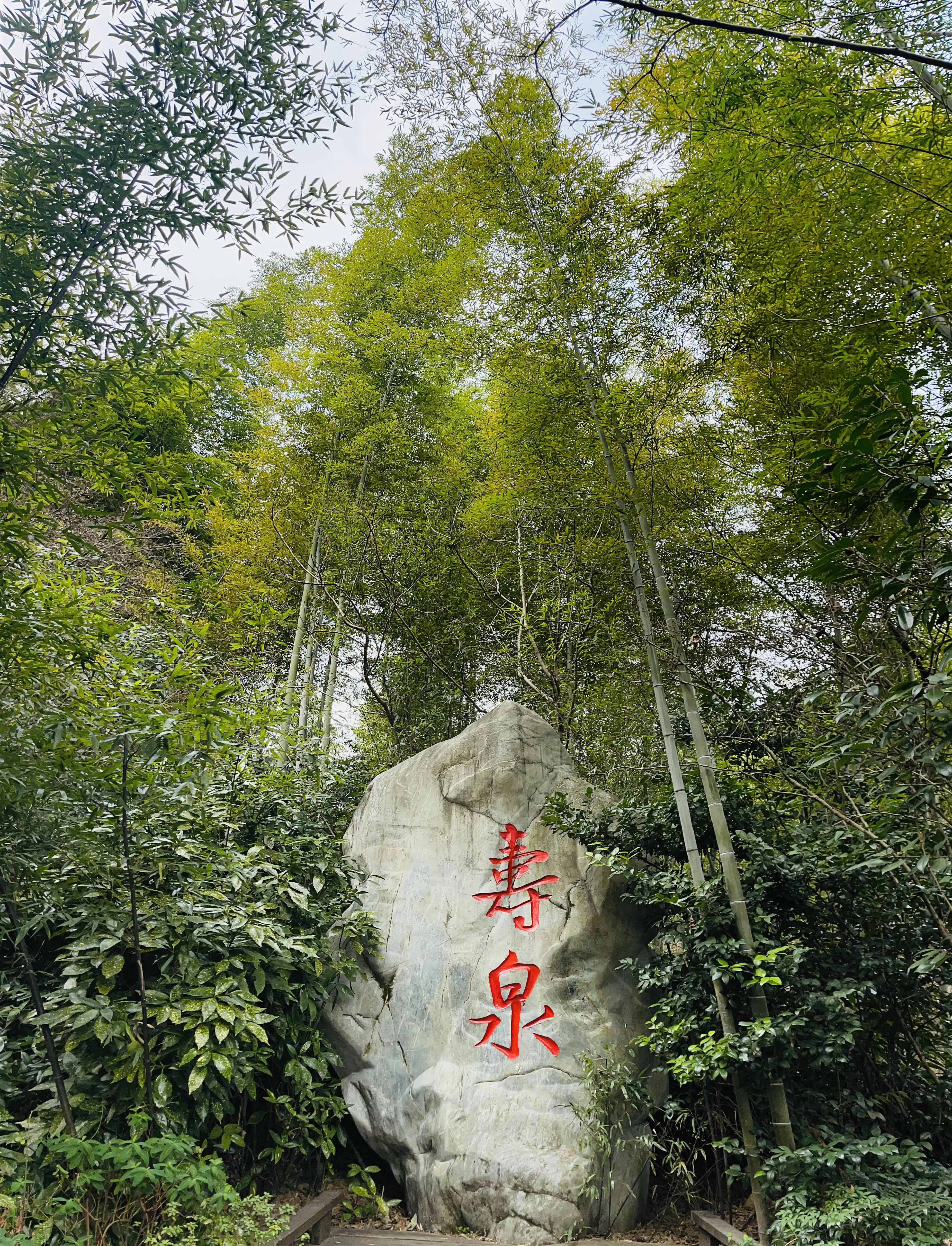 溧阳南山竹海小鸟天堂,宜兴南山竹海和溧阳南山竹海