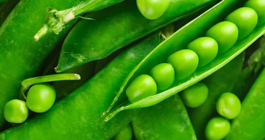 豌豆荚手工画,美术作品豌豆荚创意画小班