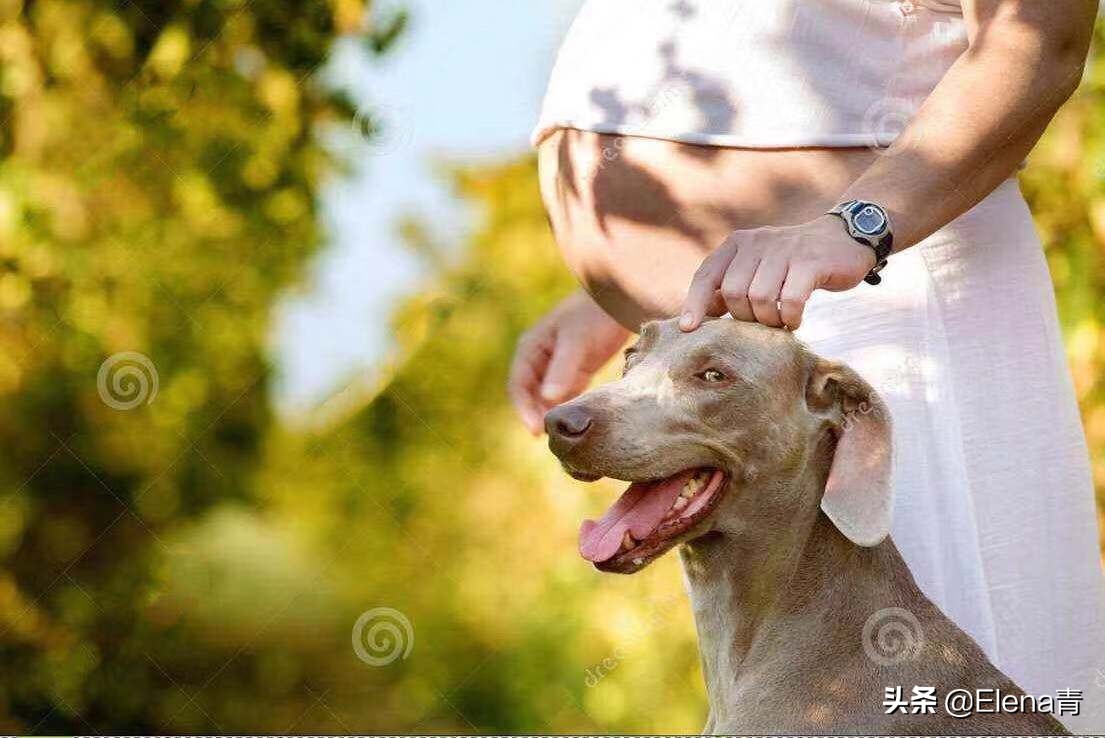 当女人的乳头被吸长达一个月,看完惊呆了~~