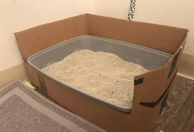 省钱养猫攻略真的假的,省钱养猫攻略猫砂