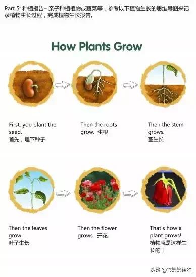 英文绘本好处,英文绘本书怎么做