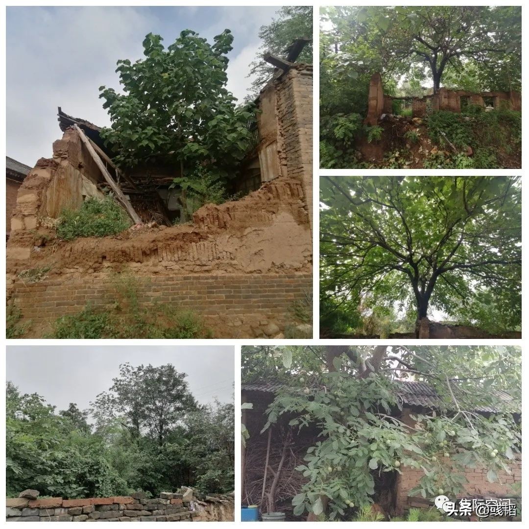 周末回老家的惬意时光,周末回农村的乐趣