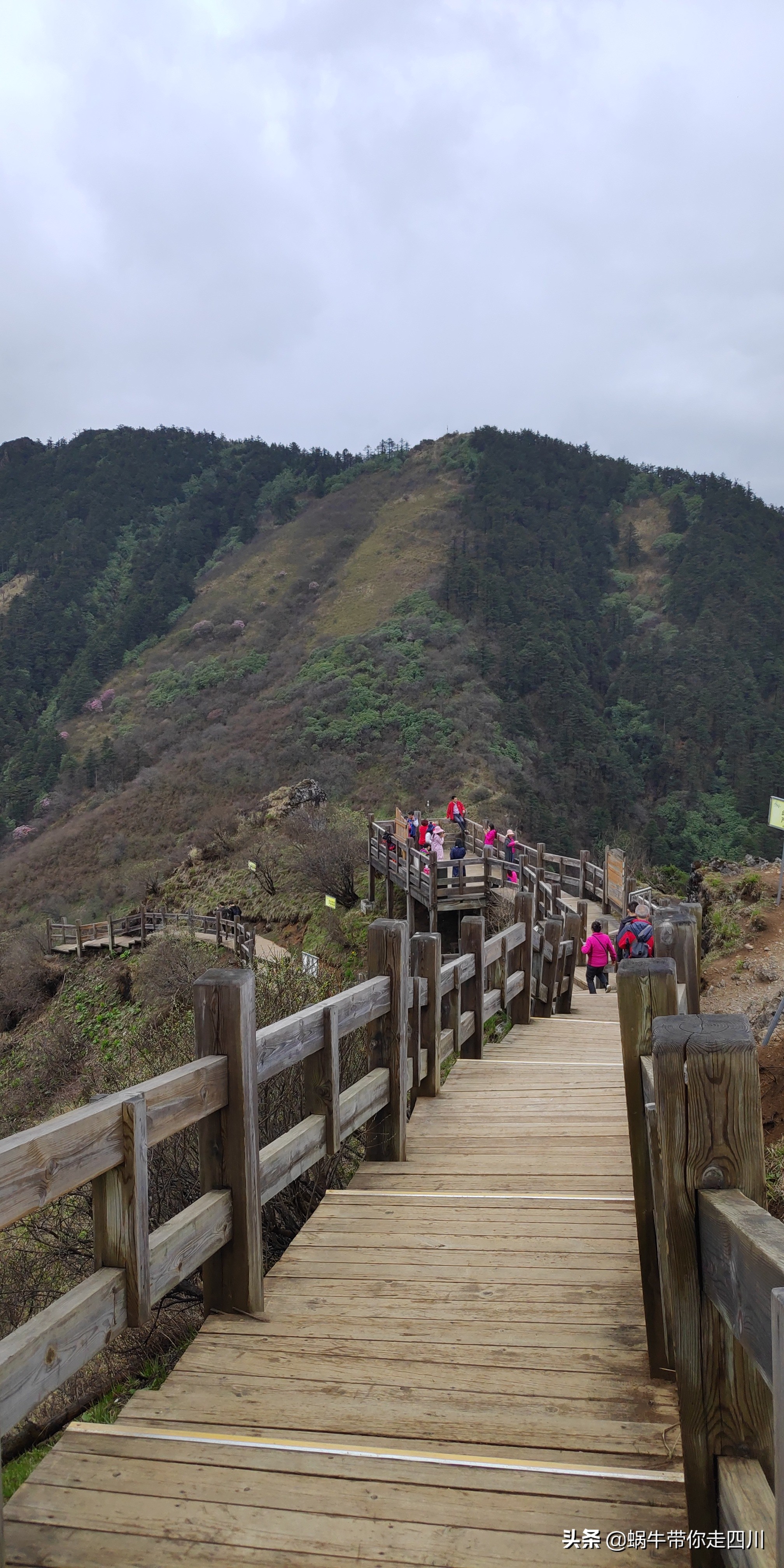 成都去西岭雪山两天一夜旅游团,成都出发雪山旅游