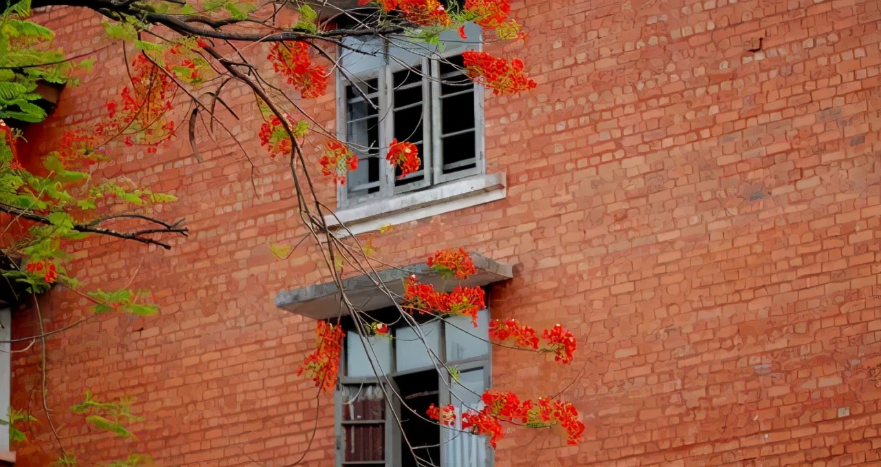 走吧,去鼓浪屿过过逍遥日子(10):南普陀寺厦门大学