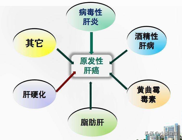 乙肝随访需要查什么,乙肝观察期多久