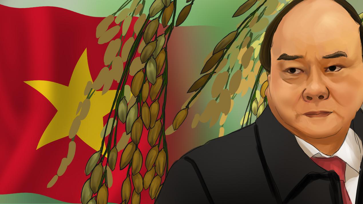 中国取消越南大米订单,中国暂停越南大米进口吗