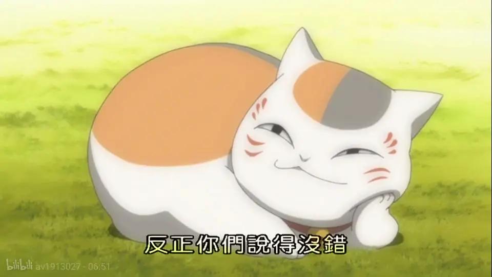 初识股票期权,初识可转债