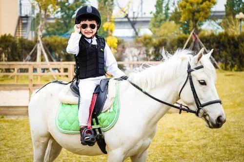 穷人没法用的素质教育，我们不需要