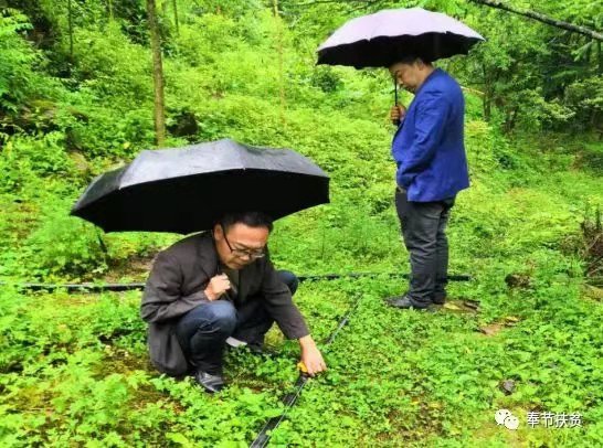 重庆市酉阳县摆手舞,摆手舞重庆