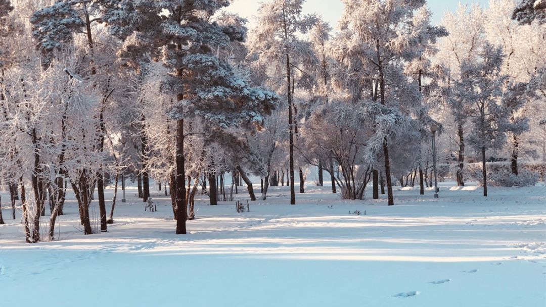 俄罗斯贝加尔湖8日游,游俄罗斯贝加尔湖