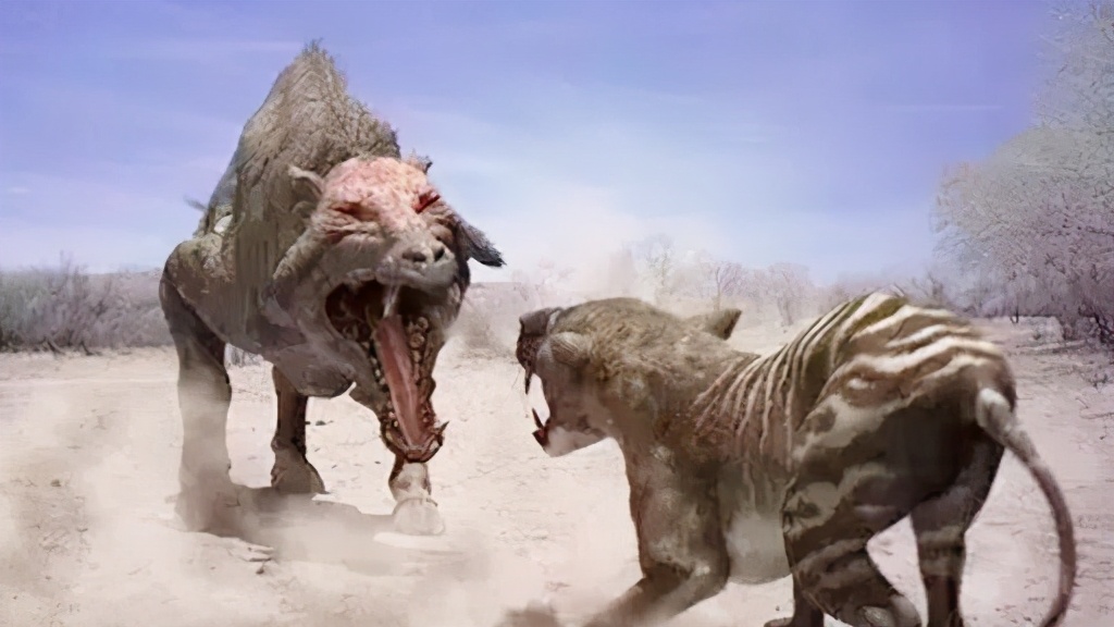 猪不同阶段都需要什么,为什么猪能活到现在