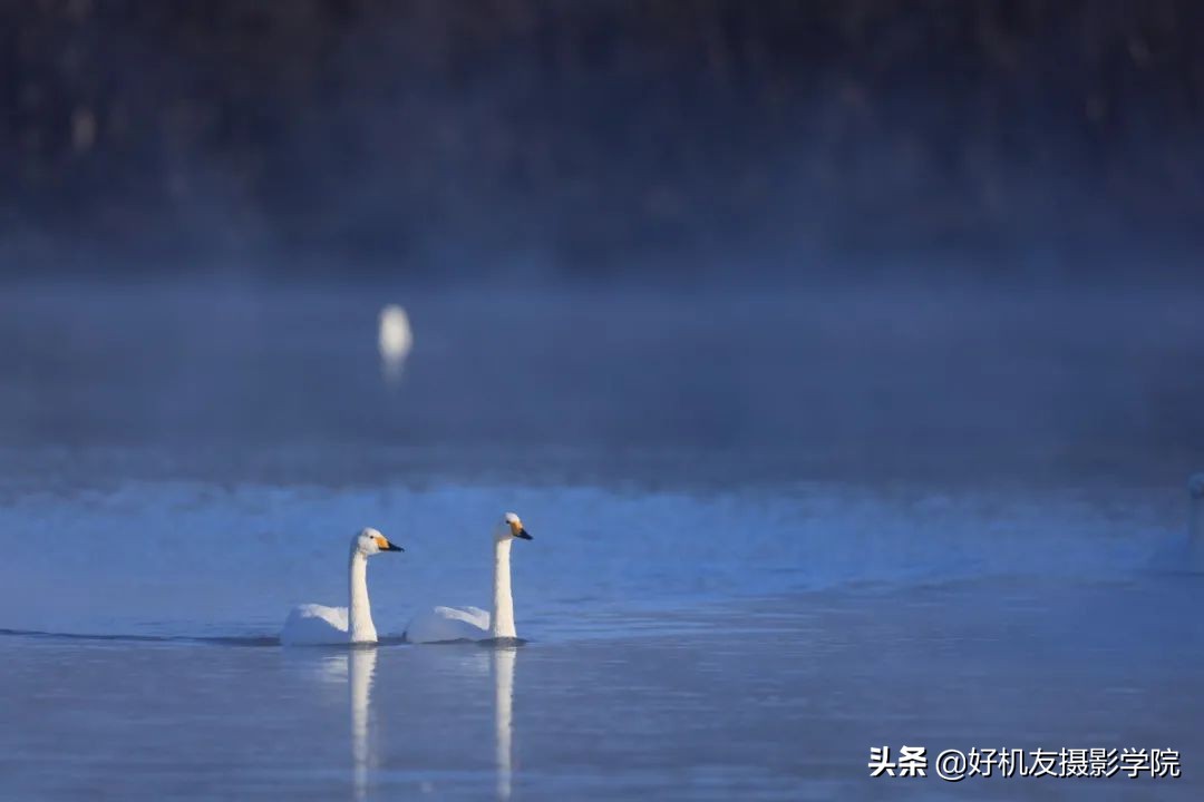 索尼全画幅适马和腾龙怎么选,腾龙和适马镜头哪个适合索尼微单
