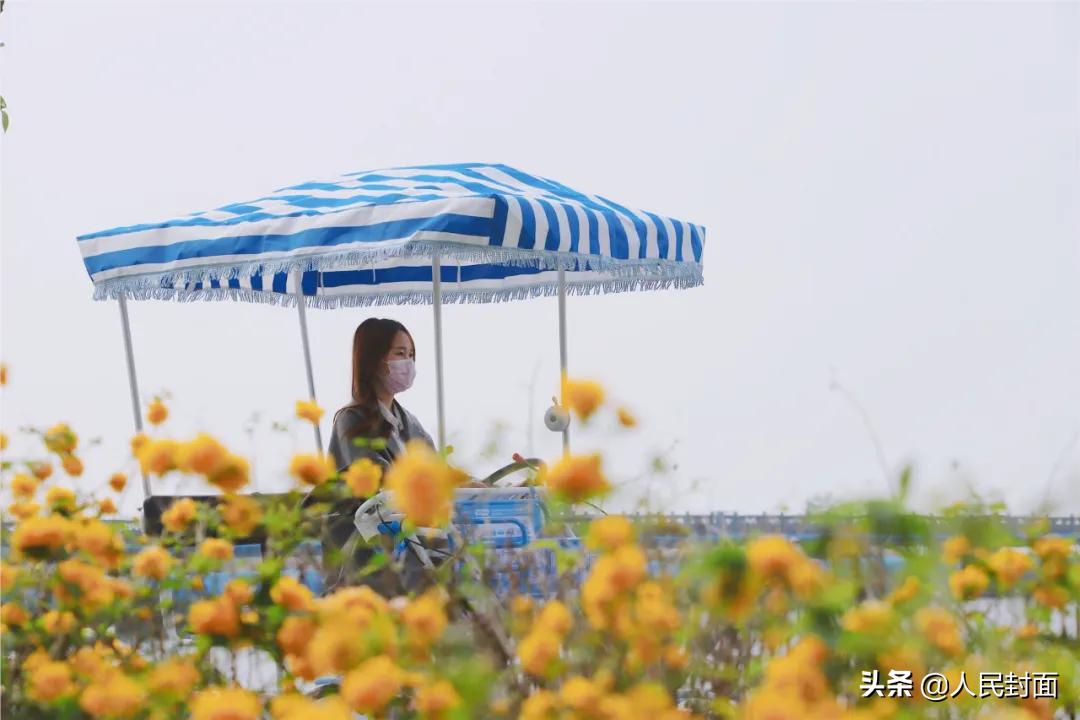 太湖骑行步道,无锡太湖骑行绿道