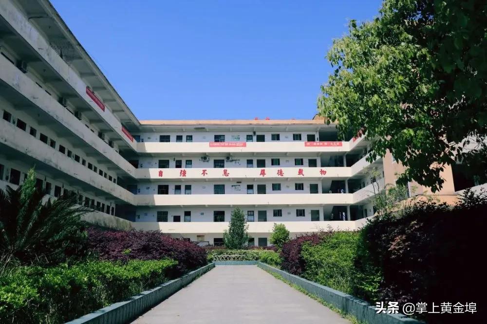 黄金埠有望改名的大学,梅港黄金埠学校