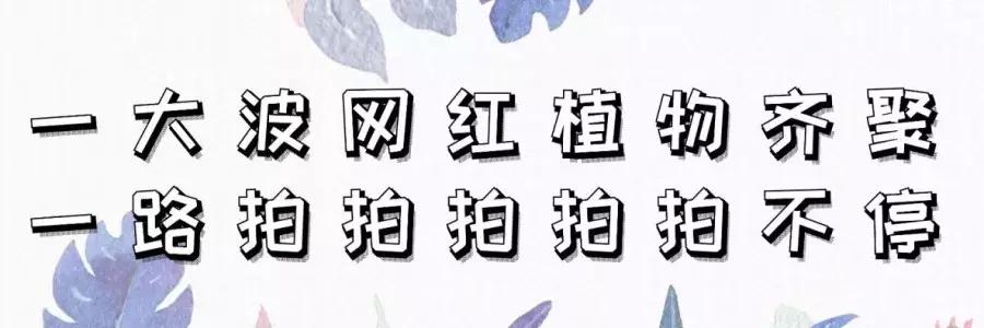 上海最大的绿地在哪里,上海人家万科广场