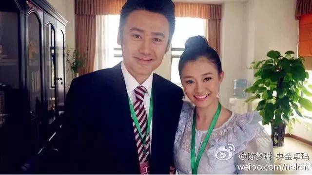 吴秀波女友被判多少年,吴秀波立案侦查合集