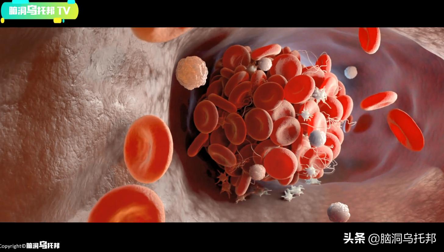 遭到核辐射被抢救的日本人,遭核辐射后强行救治83天