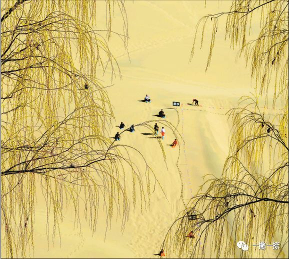 人民日报40年老照片全部,人民日报高质量短片