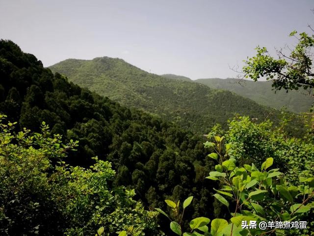 游玩北京香山公园之行,7月的北京香山公园图片