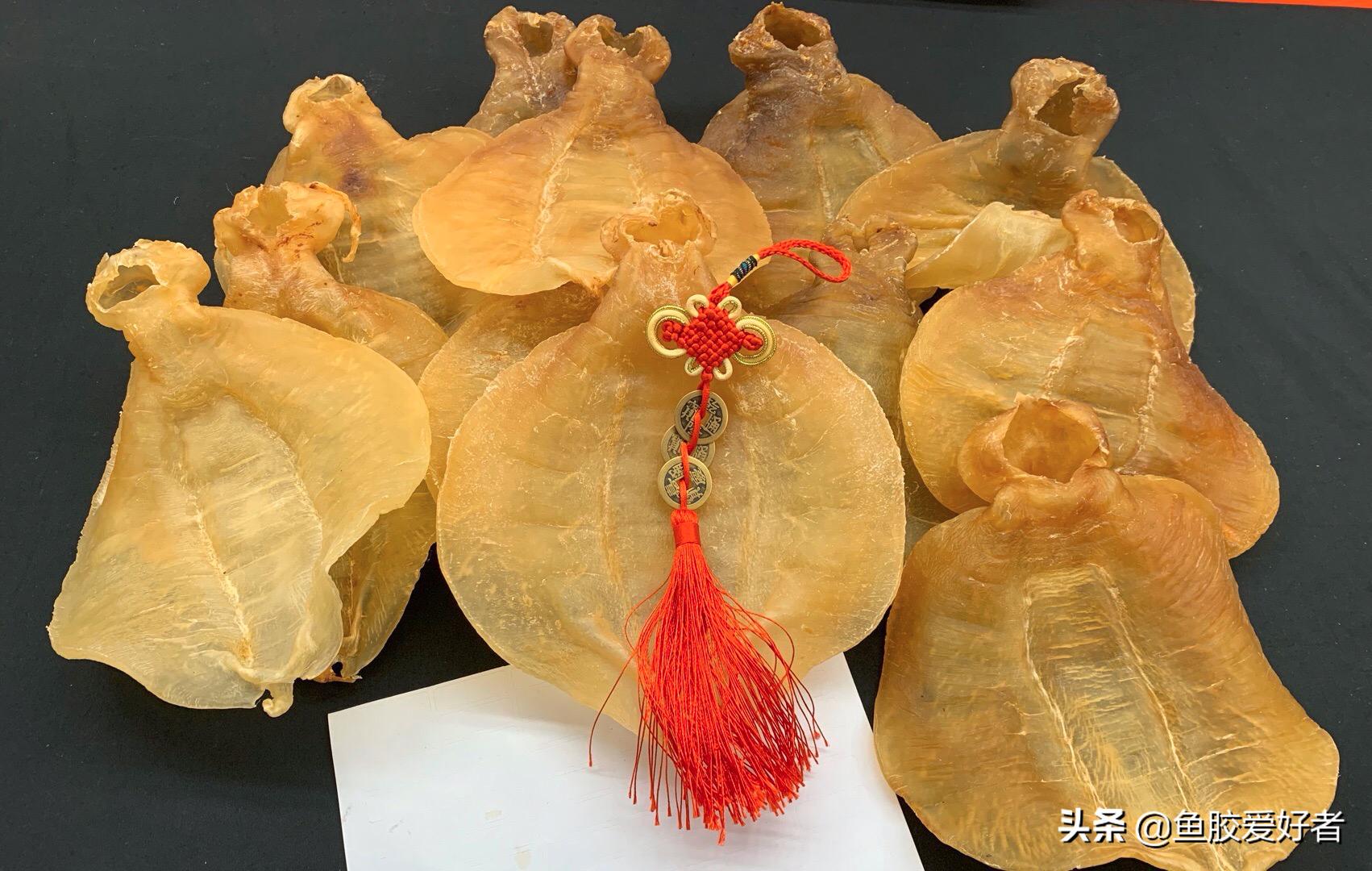 鳘鱼胶有哪些品种,赤嘴鱼胶哪个品种比较补血