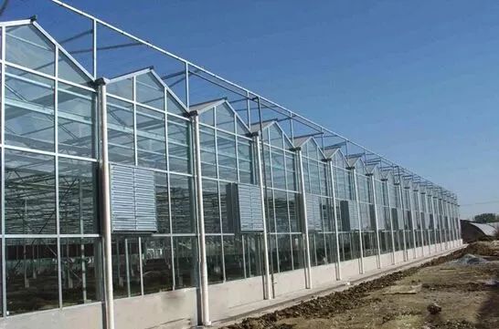 小型温室大棚用什么样的大棚,温室大棚和传统大棚的区别