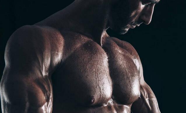 增肌入门教学课程简介,增肌金字塔法则