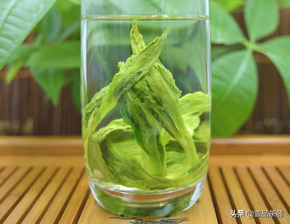普洱茶品饮杂谈,绿茶各种茶类介绍