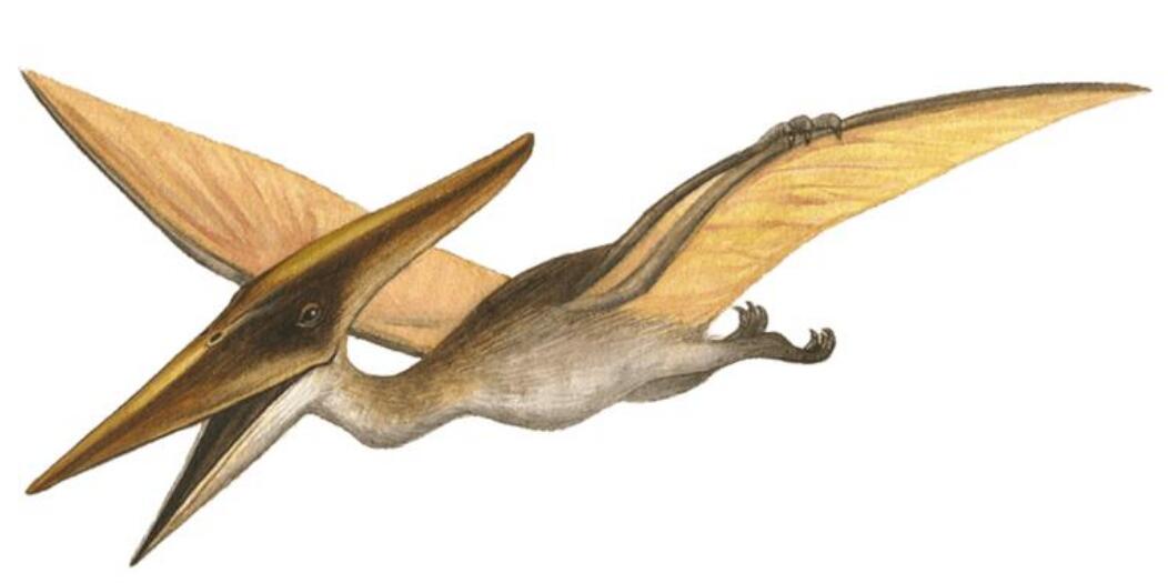 科学家发现史前恐龙生命强大,中国科学家已经复活恐龙了吗