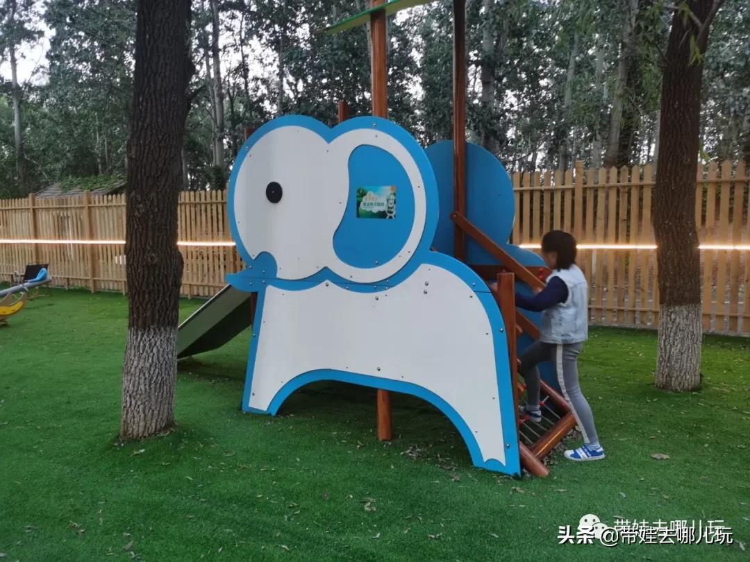 北京五环内新开萌宠乐园，除了喂动物，还能玩大滑梯、免费享帐篷