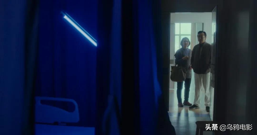 横扫电影节奖项,横扫国际影展