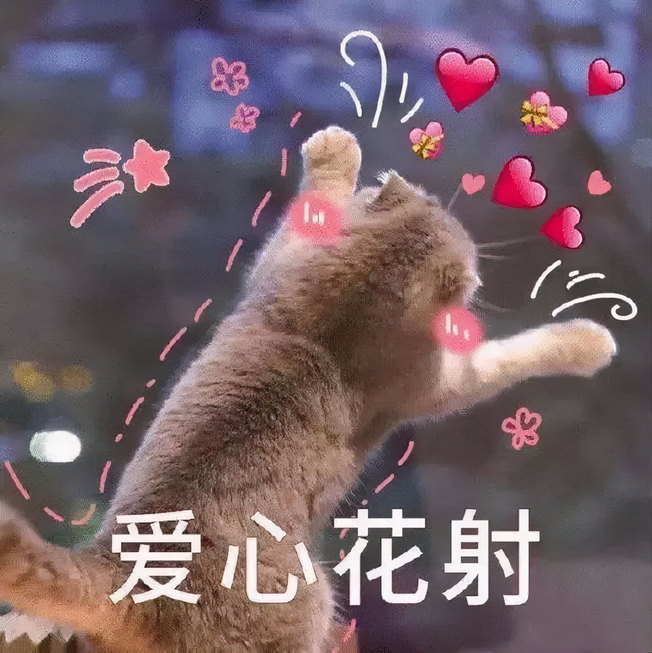 时尚卫衣穿搭技巧,最简单的卫衣穿搭