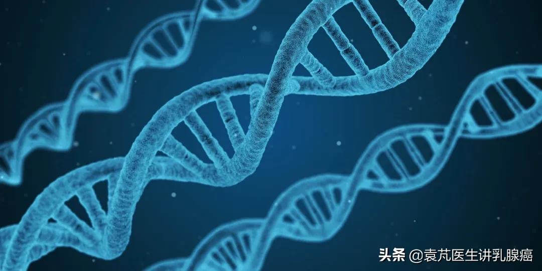 介绍乳腺癌常用基因检测的适应症，临床意义、适用人群等