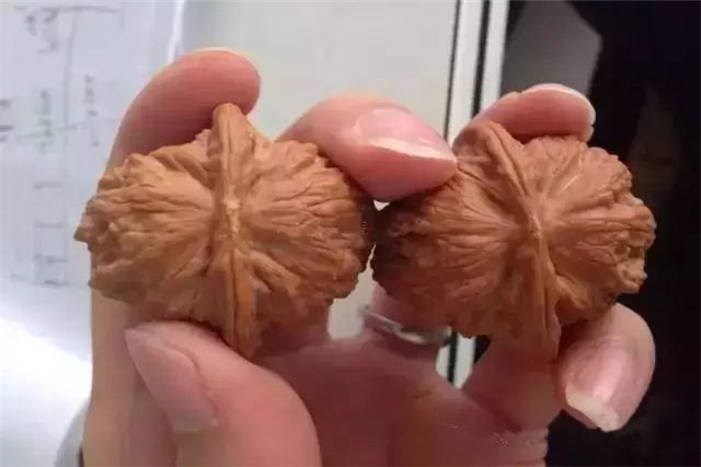 閲庢牳妗冪洏濂界殑鏍峰瓙,娉ㄦ剰鍥涚偣缁嗚妭