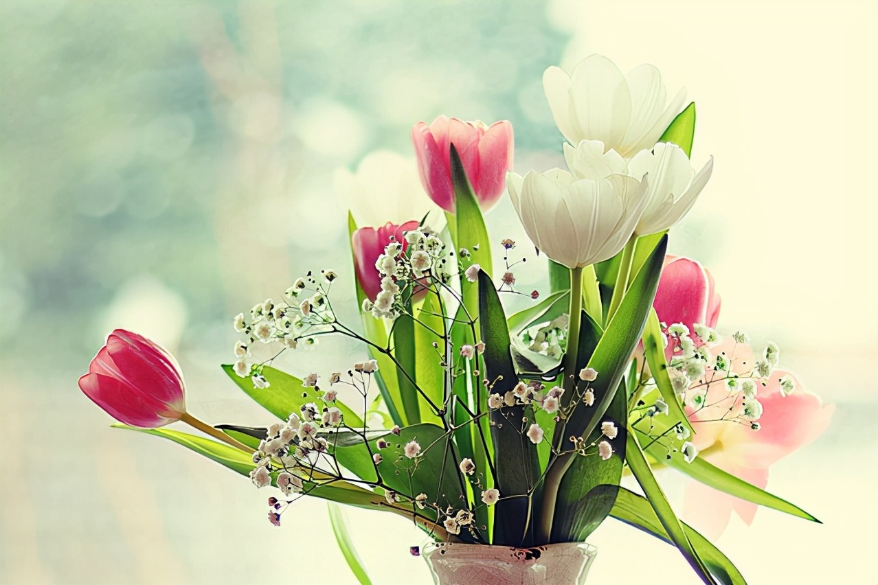 男人和女人的十二种情感需求,感情中女人的情感需求