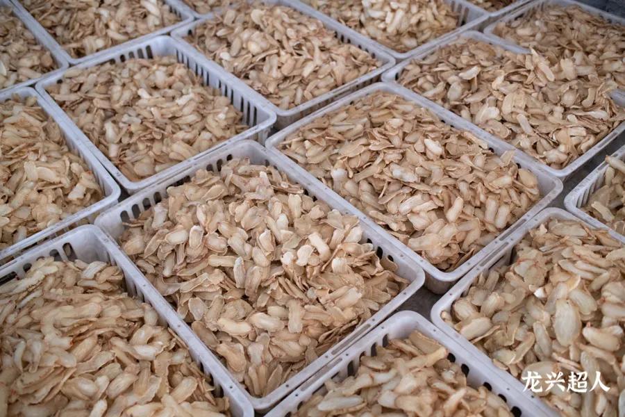 贵州的道地药材天麻,天麻属于哪里的道地药材