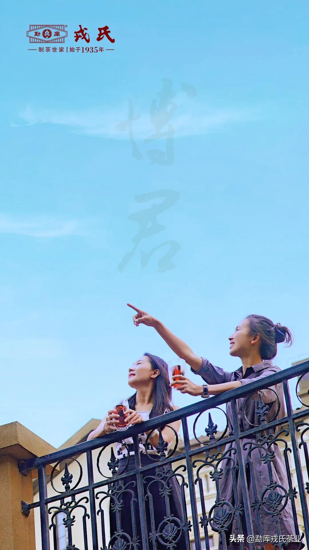 博君普洱熟茶2016,博君熟茶2018和2020